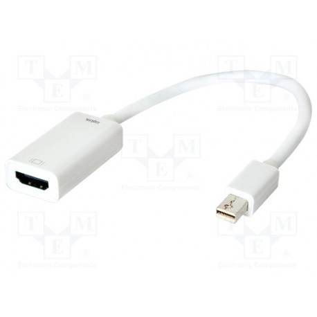 Adaptateur HDMI femelle / mini-Display Port mâle